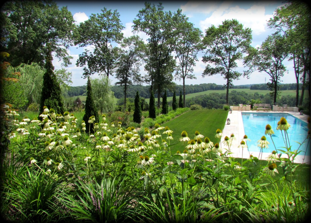 We're Now Installing Pools! Blog » Rutgers Landscape & Nursery