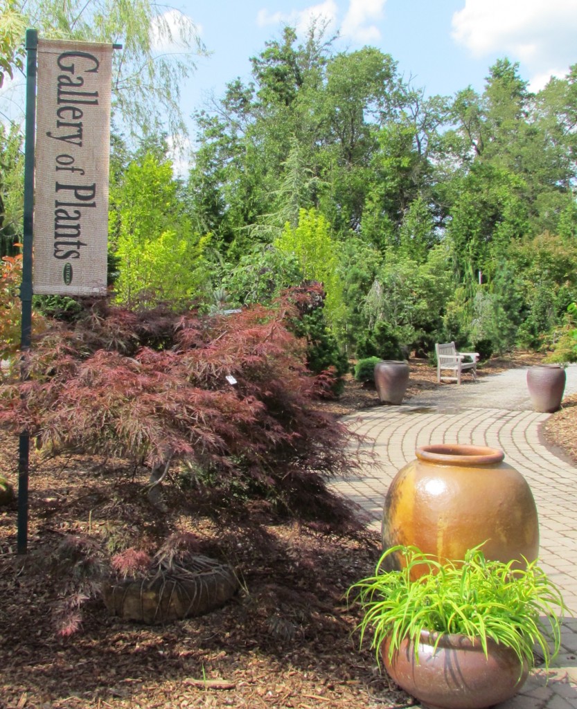 NJ Garden Center Blog » Rutgers Landscape & Nursery