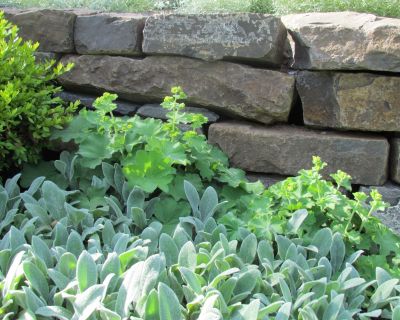 Portfolio-IMG_2065 Large