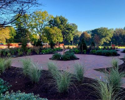 Portfolio-Untitled design - 2024-12-05T125009.703 Large