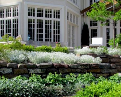 Portfolio-Untitled design - 2024-12-05T125228.831 Large