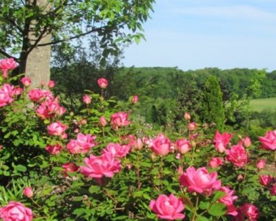 Portfolio-Untitled design - 2024-12-05T131047.955 Large