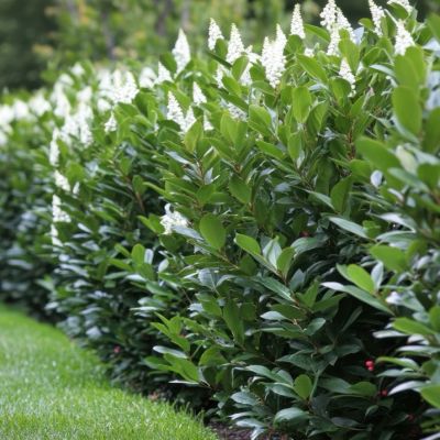 AdobeStock_1031739367 Large