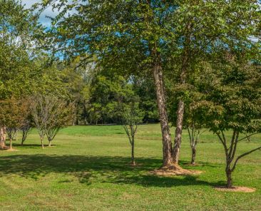 AdobeStock_387195694 Large