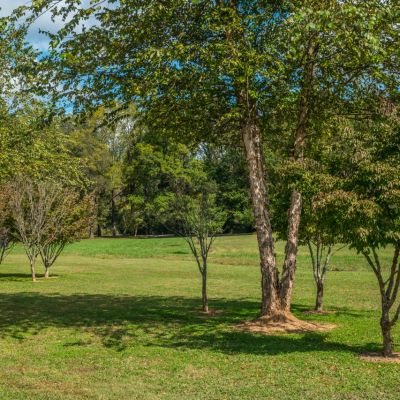 AdobeStock_387195694 Large