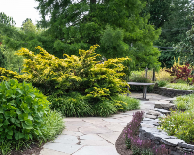 Landscaped garden with a stone pathway, garden table, golden conifers, red Japanese maple, and lush green plantings