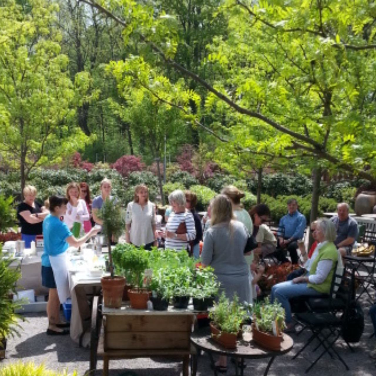 Events-Cooking with Herbs Large