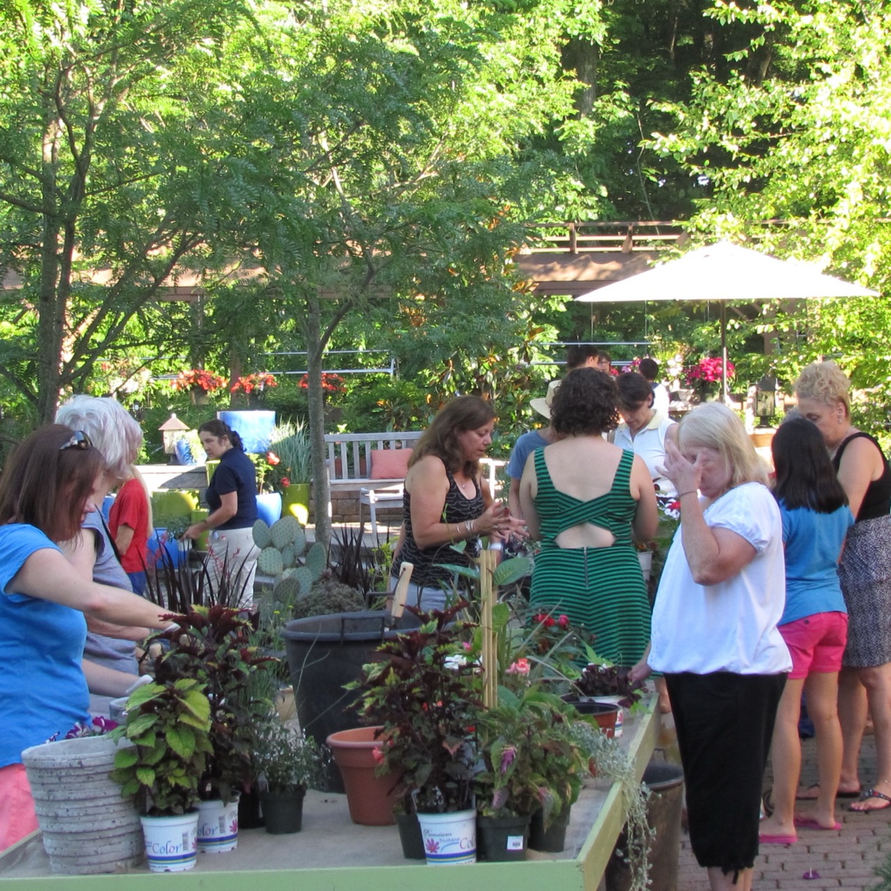 Events- planting party Large