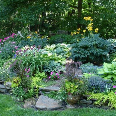 Lush shade garden with hostas, pink flowers, and yellow blooms surrounded by mature trees