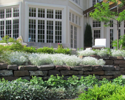 Portfolio-Untitled design - 2024-12-05T125228.831