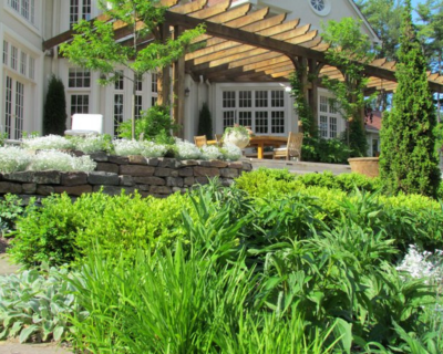 Portfolio pics 8x10 (1)