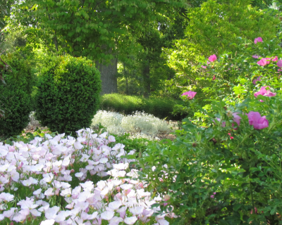 Portfolio pics 8x10 (13)