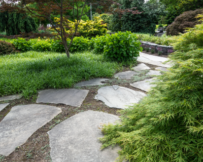 Portfolio pics 8x10 (17)