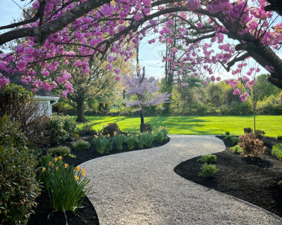 Portfolio pics 8x10 (20)