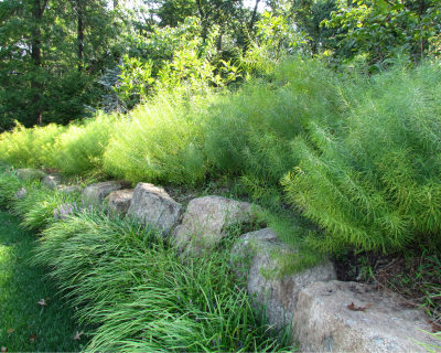 Portfolio pics 8x10 (9)