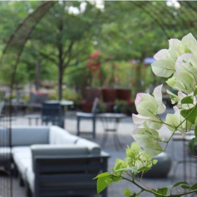 Private Events-2c-bougainvillea-seminar-600x440