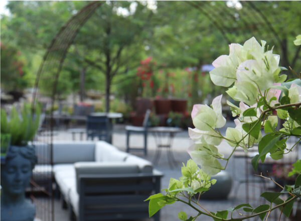 Private Events-2c-bougainvillea-seminar-600x440