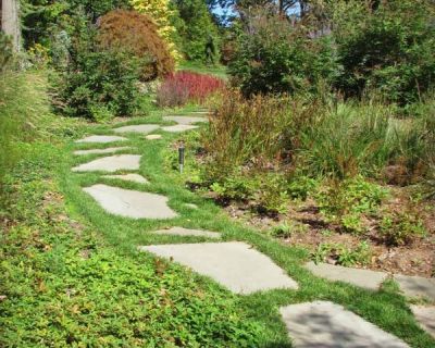 SetHeight800-Jims-House2-Sept-2014-3