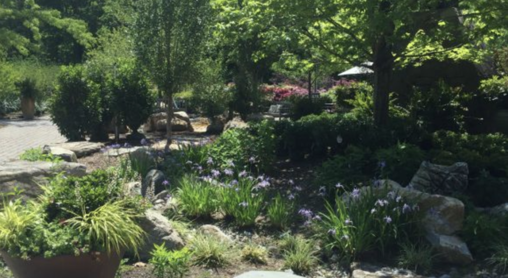 Landscaped garden bed with a stone border, featuring lush green foliage and purple flowers under shade trees beside a paved walkway.