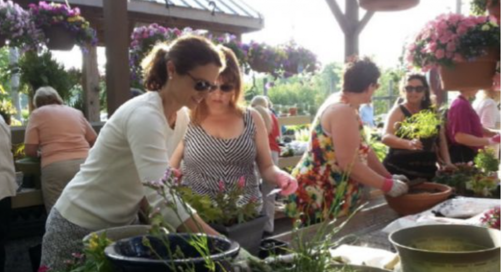 People participating in an outdoor flower arranging workshop, arranging plants in pots around a table under hanging baskets and a pergola.