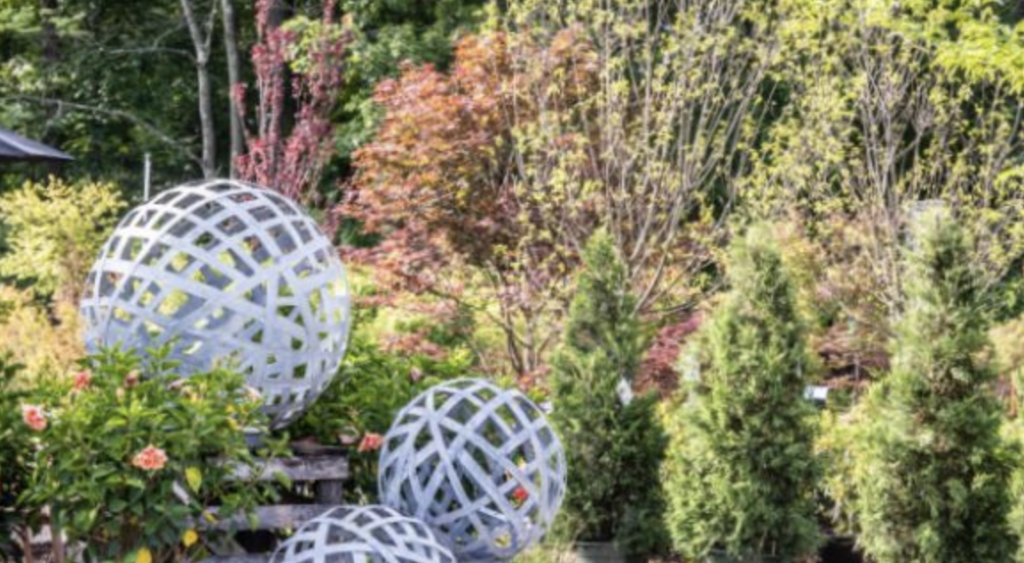 Garden scene featuring large spherical metal sculptures with open lattice design surrounded by evergreen shrubs and autumnal trees.