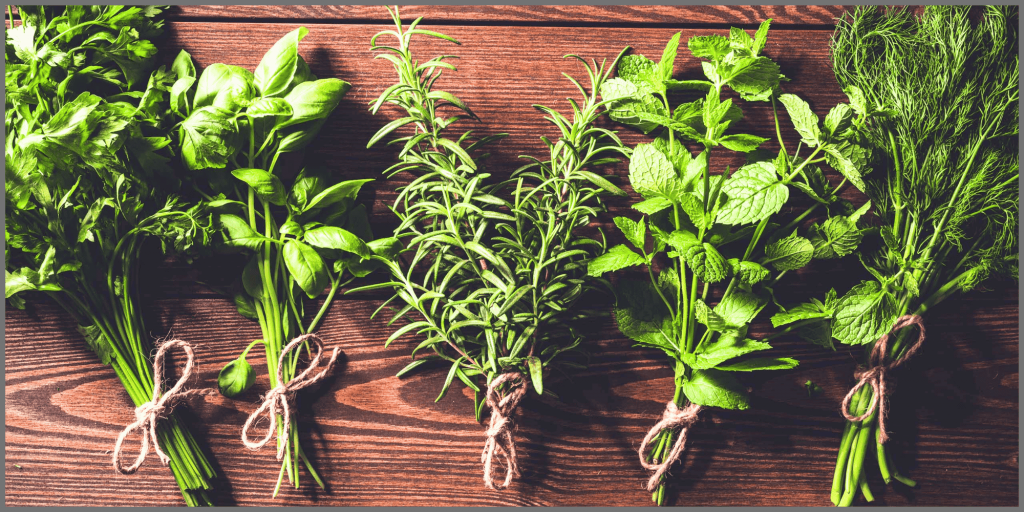 Make & Take Herb Workshop