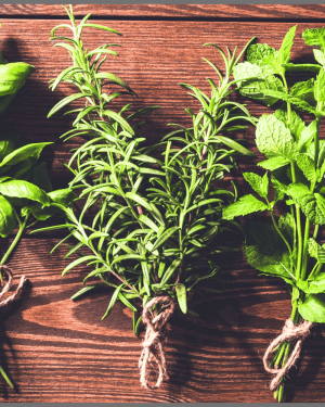 Make & Take Herb Workshop         Sat 4/25 12:30-3:00 pm
