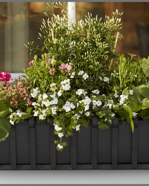 Make & Take: Window Box Planter Workshop Sat 5/16 1-3pm
