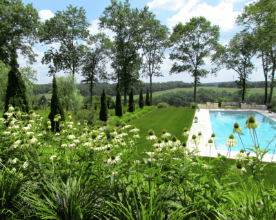 Pool with landscaping