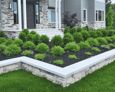 Retaining wall with boxwood
