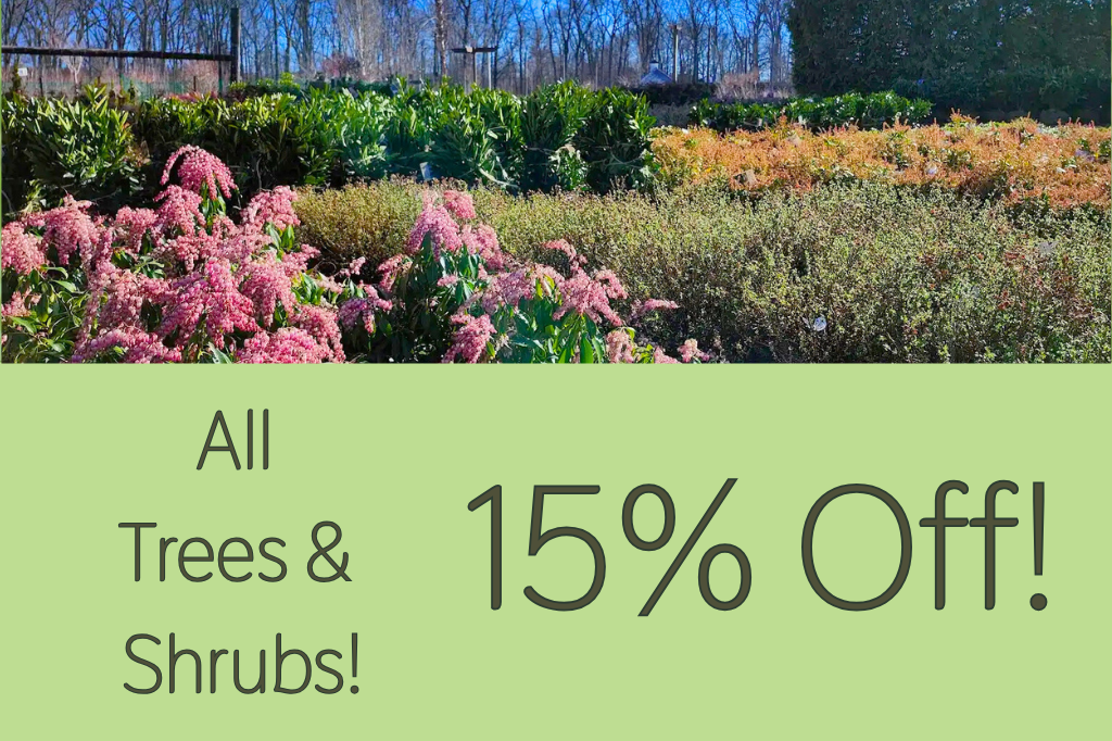 Sale on Trees & Shrubs 15% Off