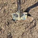 Root Mulch