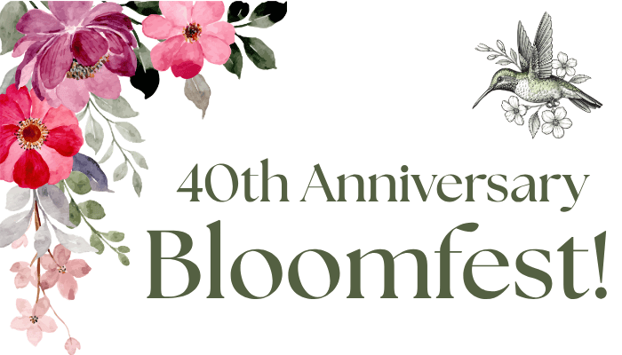 Bloomfest