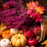 Make & Take: Build Your Own Cornucopia Workshop Sun 11/8 11am - 1pm