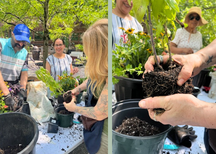 Planting Workshop