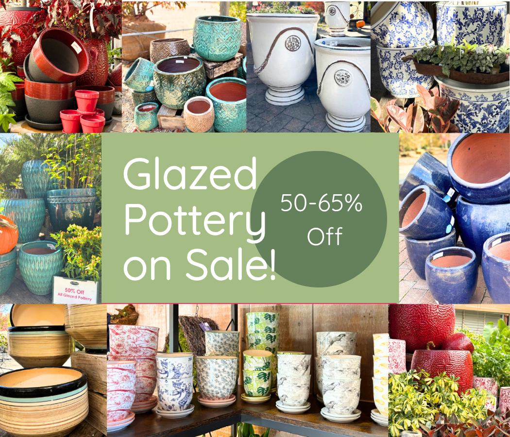 Pottery Sale