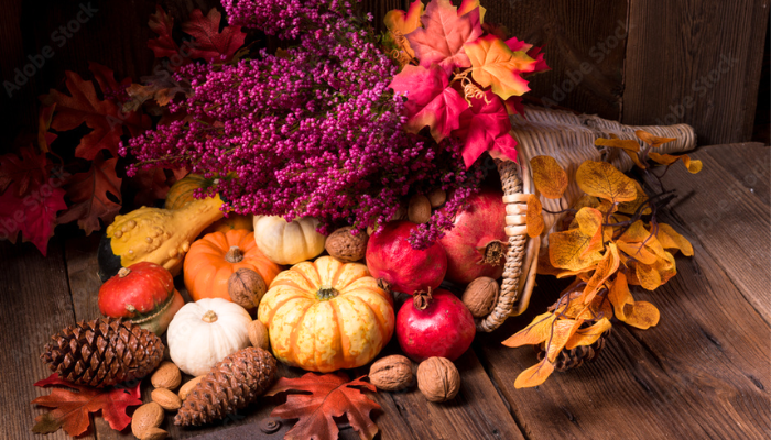Cornucopia