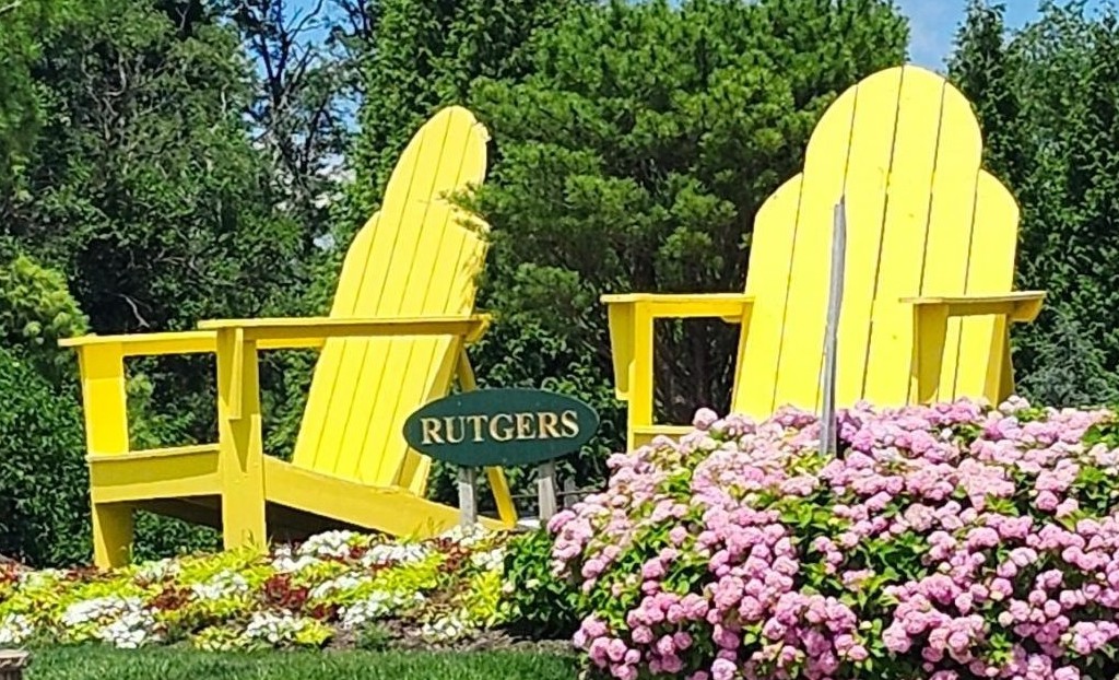 Rutgers Chairs