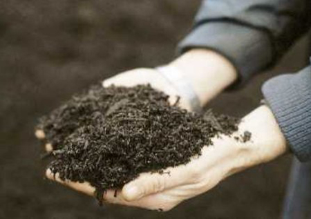 Building a compost pile